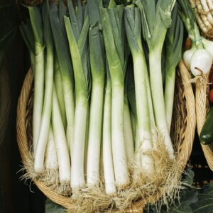 Cebolla puerro
