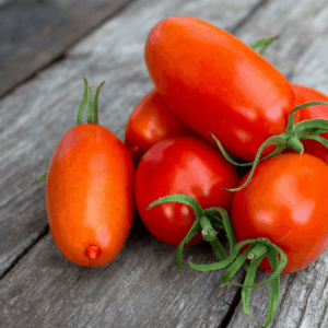 Tomate San Marzano