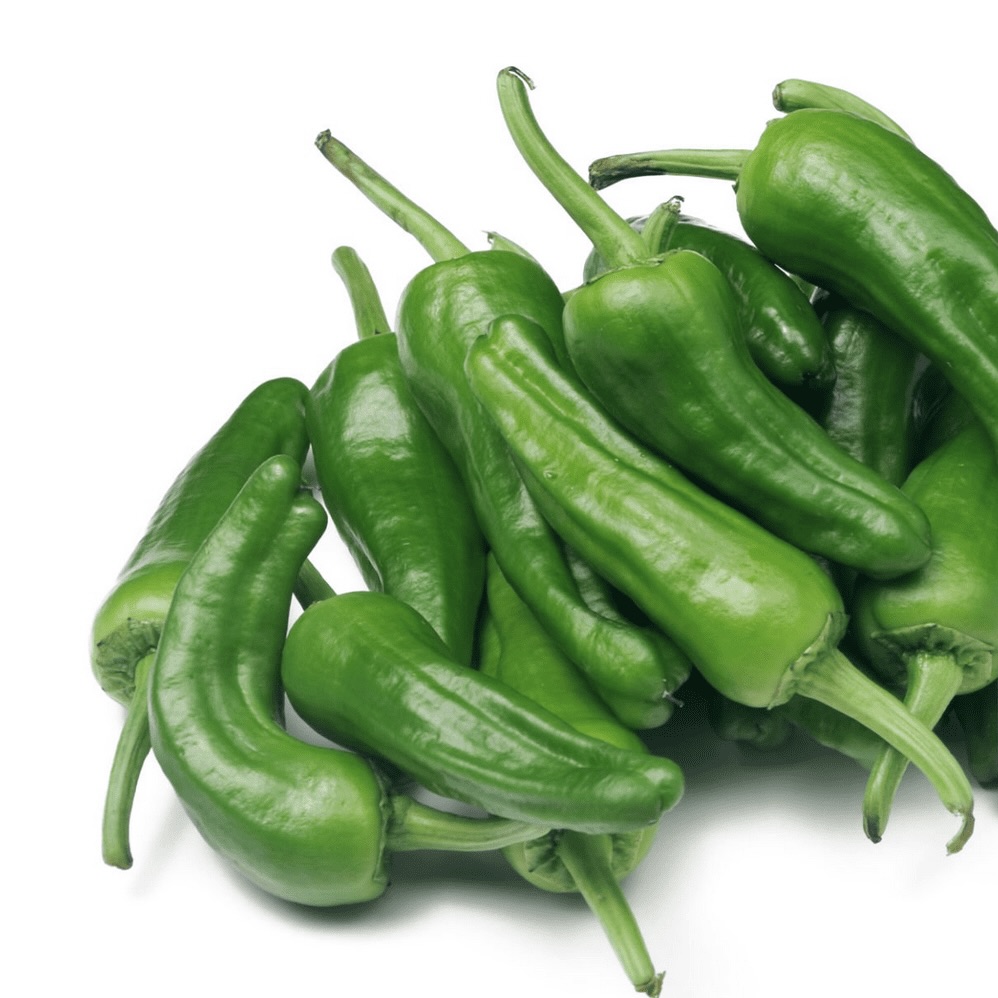 Pimiento de Padrón