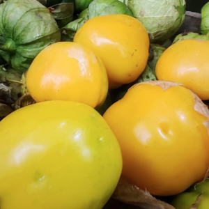 Tomatillo amarillo manzano