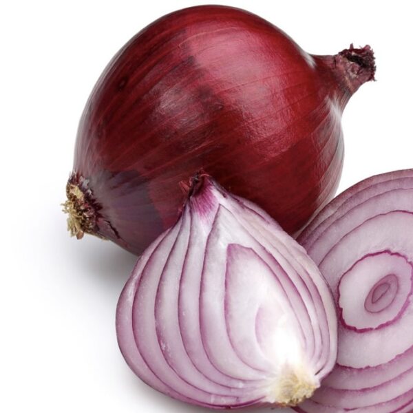 Cebolla red burgundy