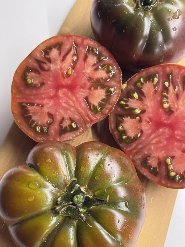 Tomate black russian