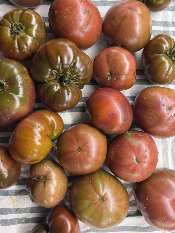 Tomate black russian - Imagen 3